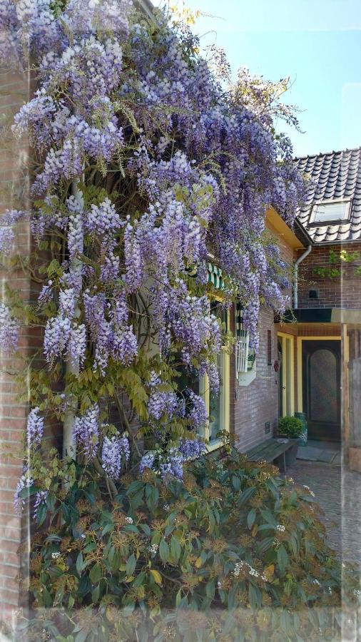 B&B De Vlinder Hardenberg Εξωτερικό φωτογραφία