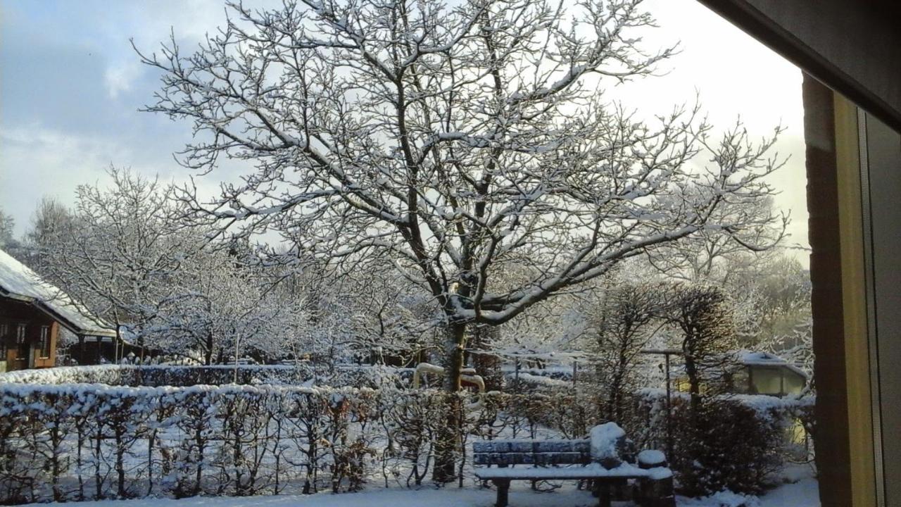 B&B De Vlinder Hardenberg Εξωτερικό φωτογραφία