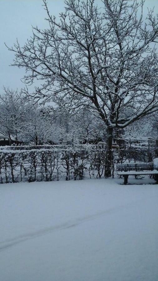 B&B De Vlinder Hardenberg Εξωτερικό φωτογραφία